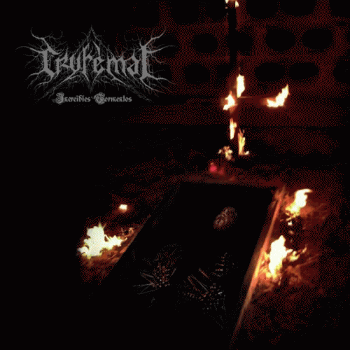 Cryfemal : Increibles Tormentos